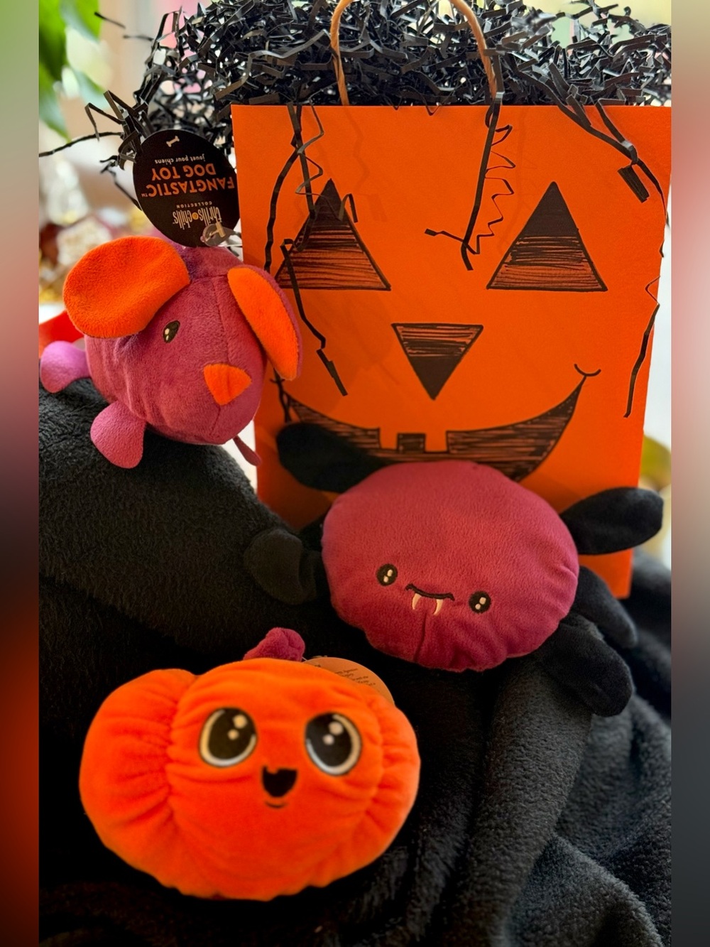 New Halloween Dog Toys - Set of 3